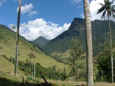   ¡El Encanto del Río!: Una Historia Mágica sobre la Naturaleza y el Amor en la Colombia Antigua!