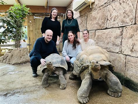  The Talking Tortoise! A Fascinating Tale of Wisdom and Humility from 20th Century Ethiopia